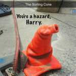 you_are_hazard_harry.jpg
