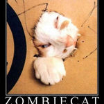 zombie_cat2.jpg